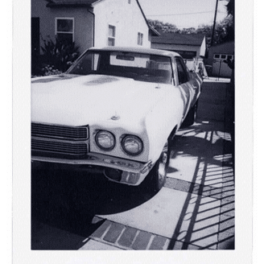 Fujifilm Instax Película Mini B&W Monochrome WW 1 (1×10 fotos) - Imagen 3