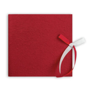 Album-Naomi-Red-23x23x14-Busta