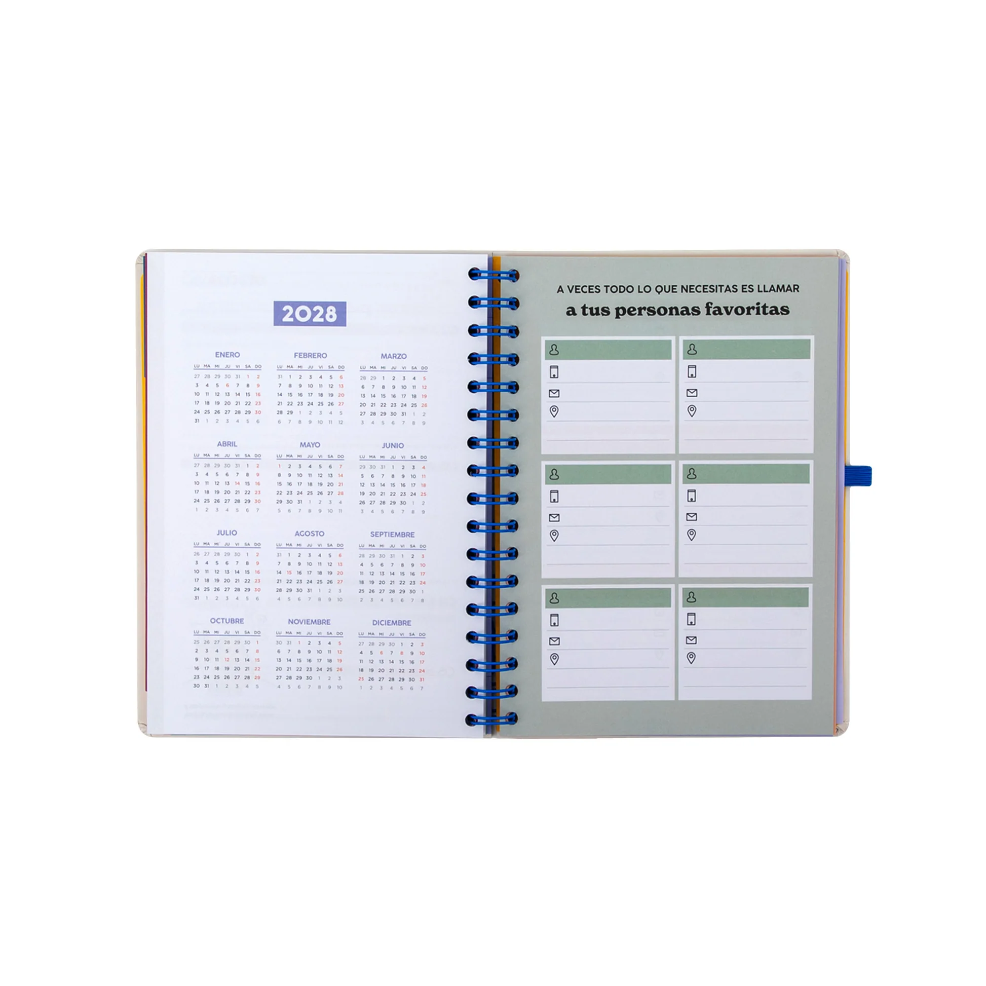 AGENDA MR.WONDERFUL 2026-27 SEMANAL - READY - Imagen 9