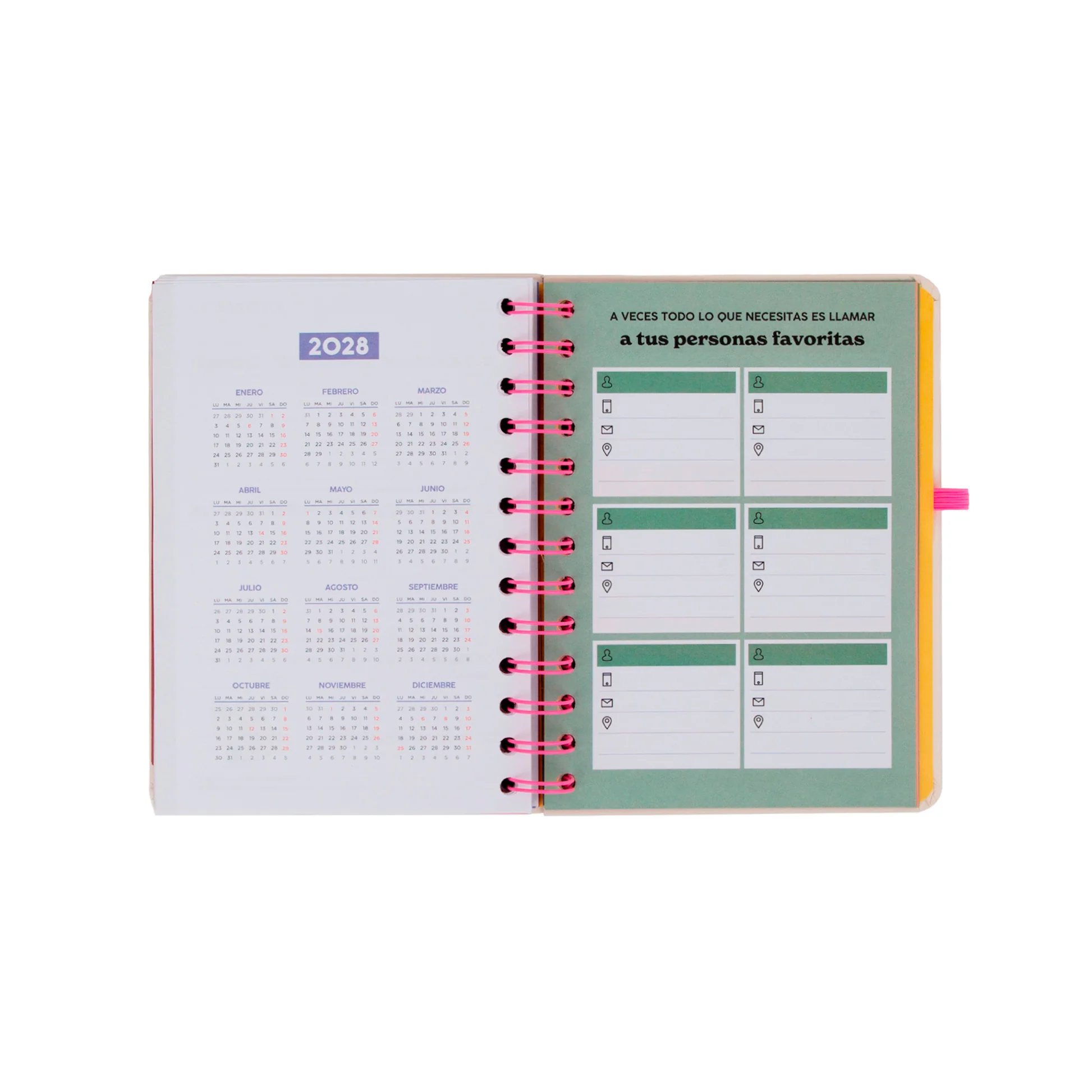 SET AGENDA MR.WONDERFUL PEQUEÑA 2026-27 SEMANAL + 3 BOLIS BORRABLES BO-BO READY - Imagen 11