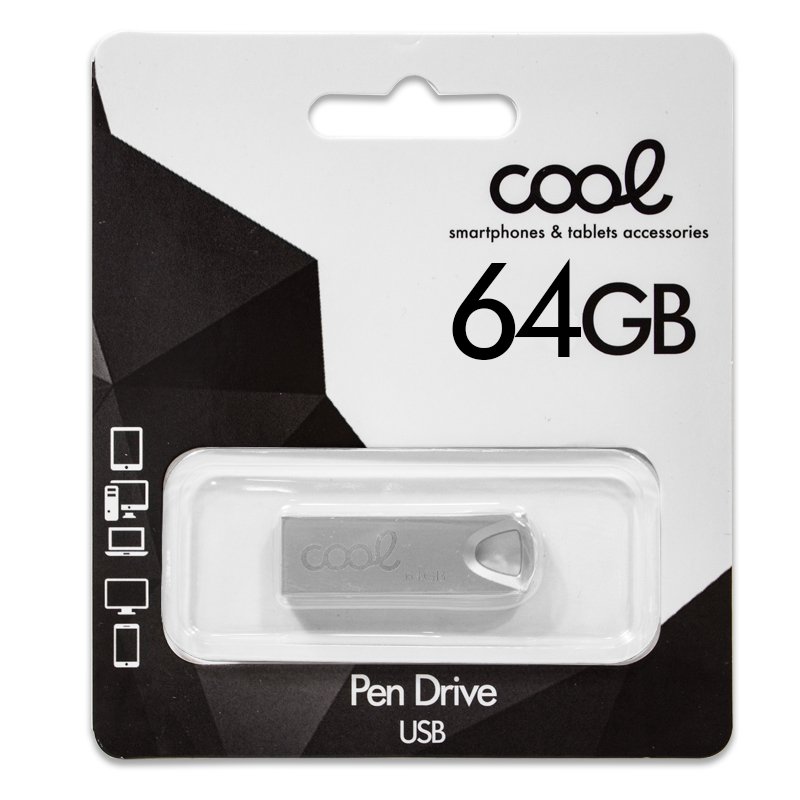 pen-drive-usb-x64-gb-20-cool-metal-key-plata (1)